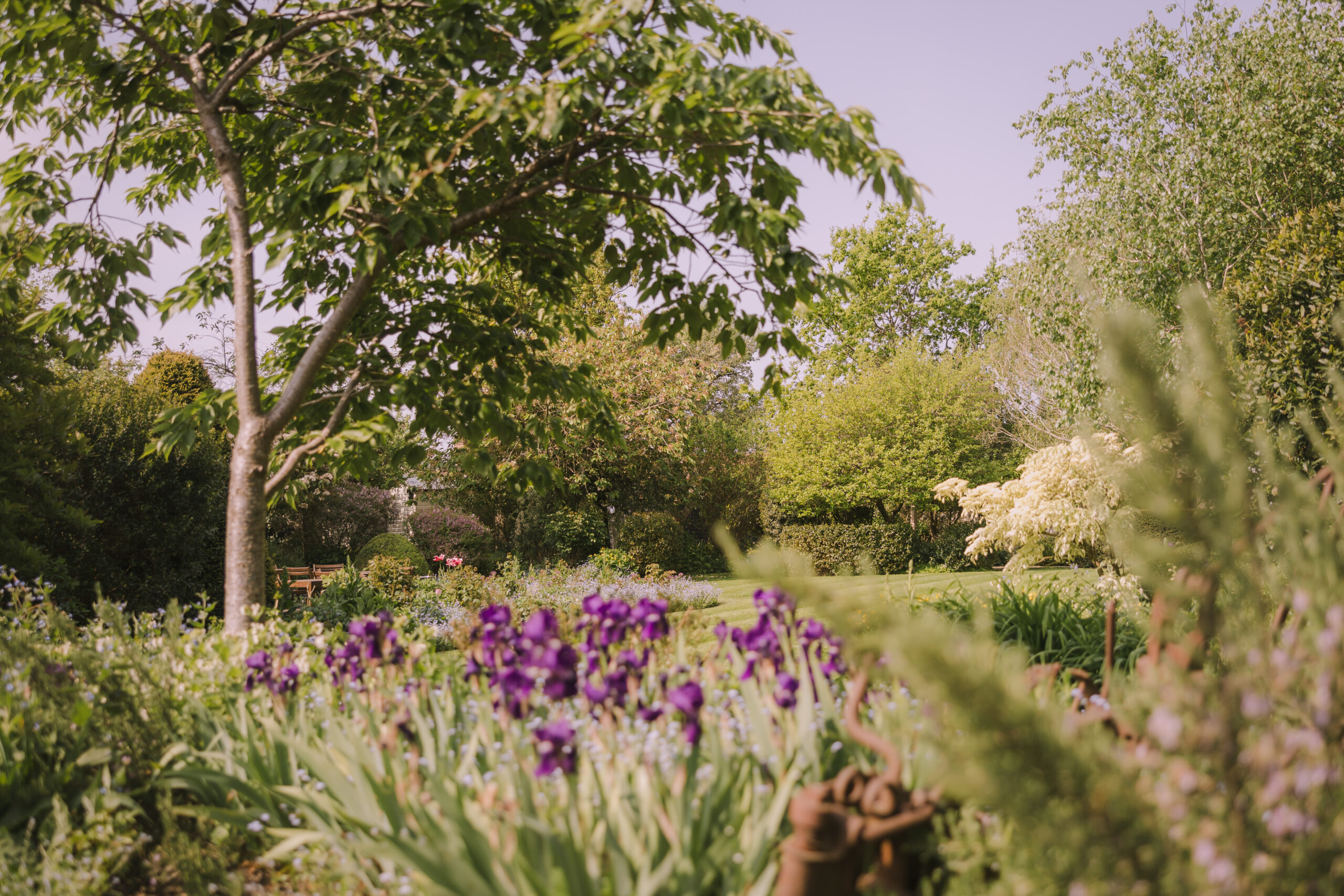 Alfriston Gardens grounds with deep purple flowers